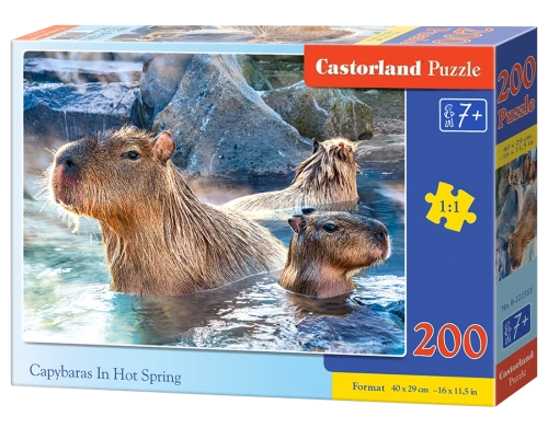 B-222353